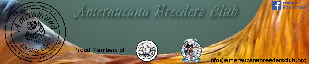 Ameraucana Breeder's Club